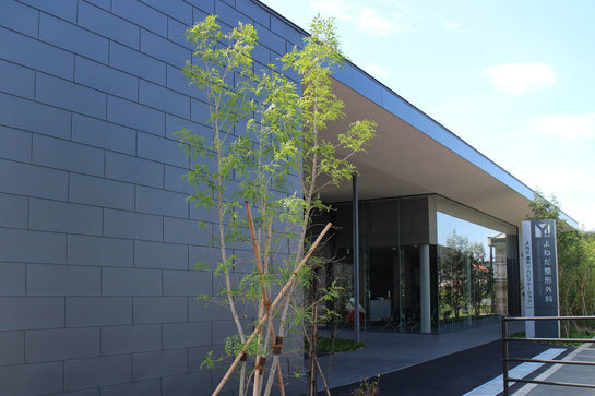 よねだ整形外科