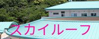 スカイルーフ